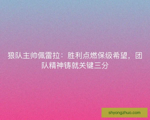 狼队主帅佩雷拉：胜利点燃保级希望，团队精神铸就关键三分