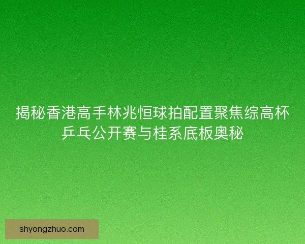 揭秘香港高手林兆恒球拍配置聚焦综高杯乒乓公开赛与桂系底板奥秘