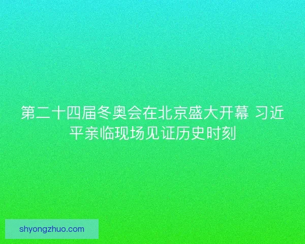 第二十四届冬奥会在北京盛大开幕 习近平亲临现场见证历史时刻