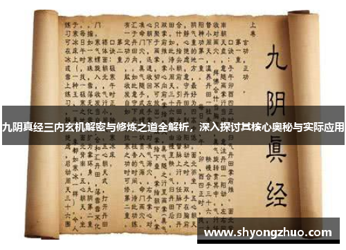 九阴真经三内玄机解密与修炼之道全解析，深入探讨其核心奥秘与实际应用