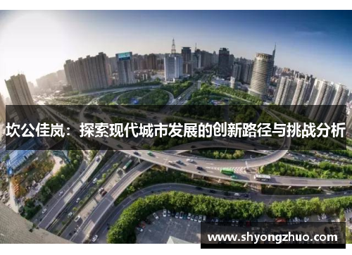 坎公佳岚：探索现代城市发展的创新路径与挑战分析