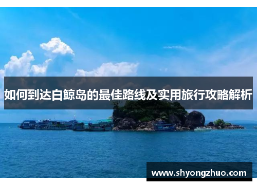 如何到达白鲸岛的最佳路线及实用旅行攻略解析